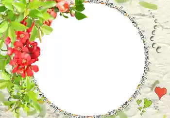 边框标语: love 边框标语: love