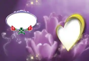 照片效果分类 情人边框 № 39213 照片效果分类 情人边框 № 39213