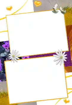 照片效果分类 情人边框 № 39215 照片效果分类 情人边框 № 39215