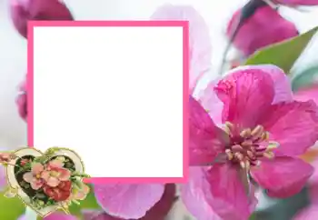 照片效果分类 情人边框 № 43593 照片效果分类 情人边框 № 43593