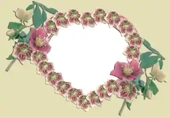 照片效果分类 情人边框 № 49524 照片效果分类 情人边框 № 49524