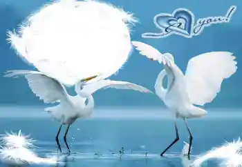 边框标语: I love you! 边框标语: I love you!