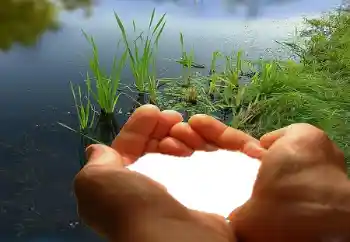 照片效果分类 情人边框 № 67019 照片效果分类 情人边框 № 67019