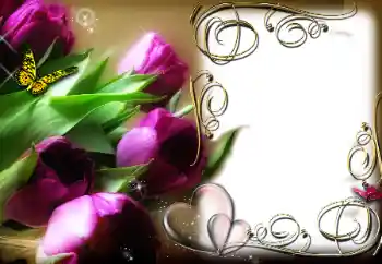照片效果分类 情人边框 № 78969 照片效果分类 情人边框 № 78969