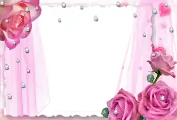 照片效果分类 情人边框 № 79001 照片效果分类 情人边框 № 79001