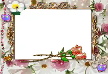 照片效果分类 情人边框 № 80315 照片效果分类 情人边框 № 80315