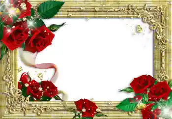 照片效果分类 情人边框 № 89340 照片效果分类 情人边框 № 89340