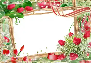 照片效果分类 情人边框 № 91729 照片效果分类 情人边框 № 91729