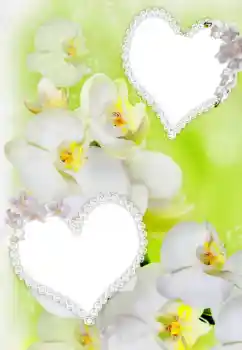 照片效果分类 情人边框 № 91900 照片效果分类 情人边框 № 91900