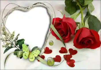 照片效果分类 情人边框 № 9605 照片效果分类 情人边框 № 9605