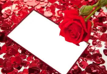 照片效果分类 情人边框 № 96066 照片效果分类 情人边框 № 96066