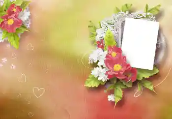 照片效果分类 情人边框 № 99937 照片效果分类 情人边框 № 99937