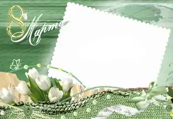 边框标语: 3月8日 边框标语: 3月8日