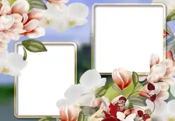 边框标语: 3月8日 边框标语: 3月8日