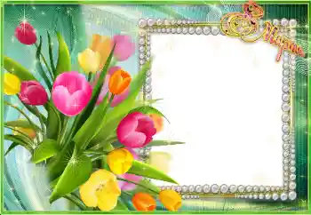 边框标语: 3月8日 边框标语: 3月8日