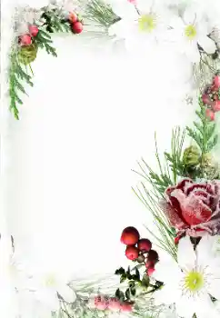 边框标语: 妇女节快乐 边框标语: 妇女节快乐