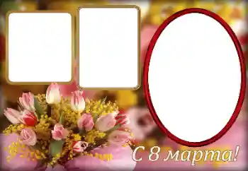 照片效果分类 三八妇女节贺卡 № 166258. 边框标语: 妇女节快乐