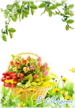 边框标语: 3月8日