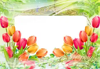 照片效果分类 三八妇女节贺卡 № 38595. 边框标语: 3月8日 照片效果分类 三八妇女节贺卡 № 38595. 边框标语: 3月8日