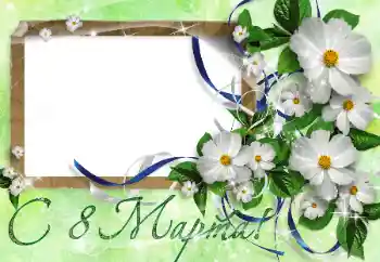 照片效果分类 三八妇女节贺卡 № 42579. 边框标语: 妇女节快乐 照片效果分类 三八妇女节贺卡 № 42579. 边框标语: 妇女节快乐