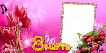 边框标语: 3月8日 边框标语: 3月8日