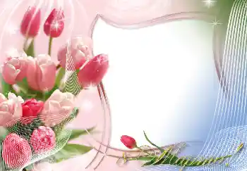 边框标语: 3月8日