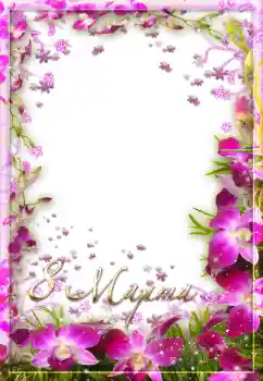 边框标语: Women's Day