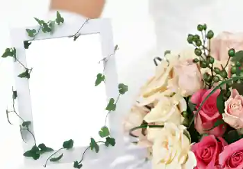 边框标语: 妇女节快乐