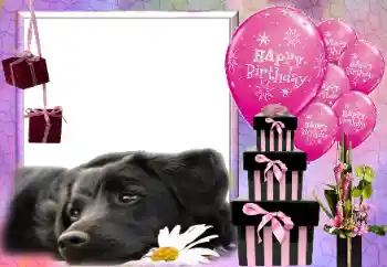 照片效果分类 生日贺卡 № 116033. 边框标语: 生日快乐！