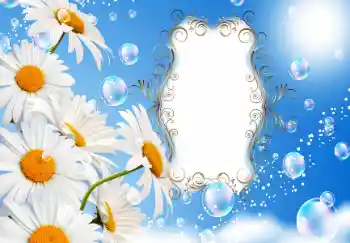 照片效果分类 生日贺卡 № 130001. 边框标语: 周年快乐！