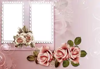 边框标语: 生日快乐