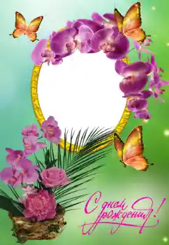 照片效果分类 生日贺卡 № 150614. 边框标语: 生日快乐