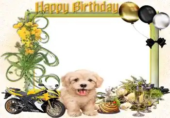 照片效果分类 生日贺卡 № 161943. 边框标语: 生日快乐