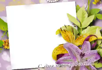 照片效果分类 生日贺卡 № 165974. 边框标语: 生日快乐