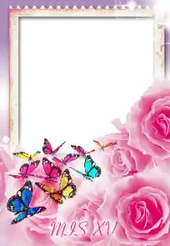 照片效果分类 生日贺卡 № 188107. 边框标语: 生日快乐 照片效果分类 生日贺卡 № 188107. 边框标语: 生日快乐