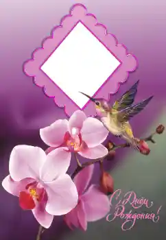 照片效果分类 生日贺卡 № 194069. 边框标语: 生日快乐