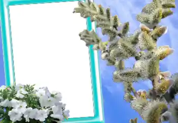 照片效果分类 复活节贺卡 № 131205 照片效果分类 复活节贺卡 № 131205