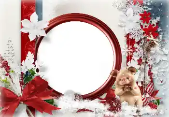 照片效果分类 新年贺卡 № 146585