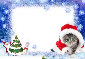 照片效果分类 新年贺卡 № 17139