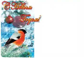照片效果分类 新年贺卡 № 3766. 边框标语: 新年快乐