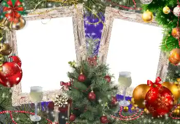 照片效果分类 新年贺卡 № 40346
