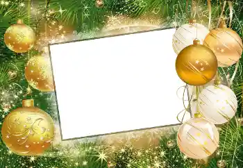 照片效果分类 新年贺卡 № 47309