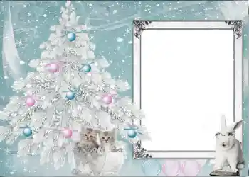 照片效果分类 新年贺卡 № 625