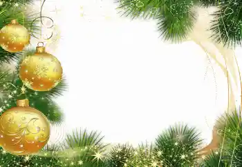 照片效果分类 新年贺卡 № 62810