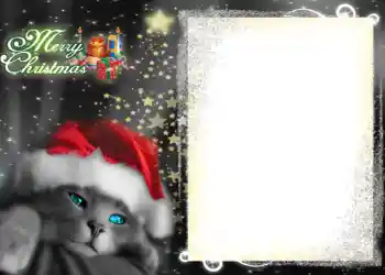 照片效果分类 新年贺卡 № 635