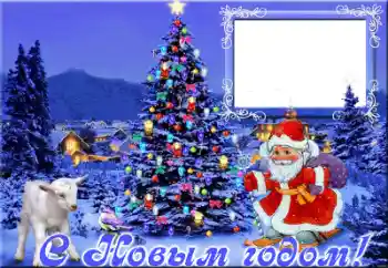 照片效果分类 新年贺卡 № 64098. 边框标语: 新年快乐