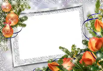 照片效果分类 新年贺卡 № 88084