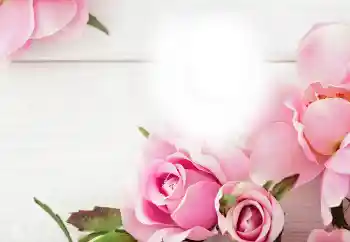 照片效果分类 各种节日 № 115983 照片效果分类 各种节日 № 115983