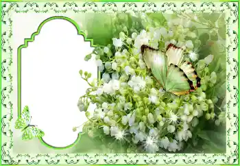 照片效果分类 各种节日 № 116188. 边框标语: 恭喜你! 照片效果分类 各种节日 № 116188. 边框标语: 恭喜你!