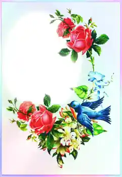 照片效果分类 各种节日 № 116213. 边框标语: 恭喜你! 照片效果分类 各种节日 № 116213. 边框标语: 恭喜你!